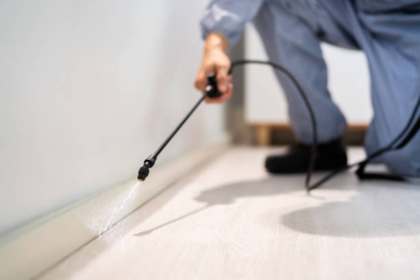 Licensed Termite Control service in Vardaman, MS - Nex Pest Control