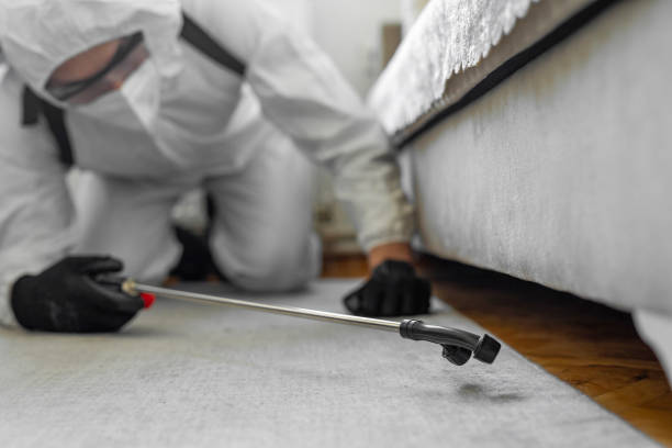 Professional Termite Control technician working in Vardaman, MS