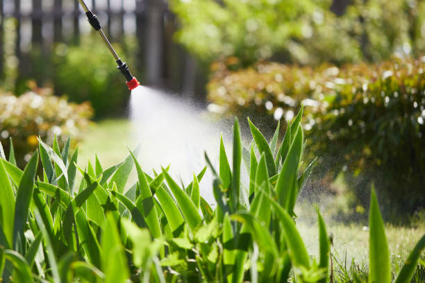 24/7 Emergency Termite Control experts in Vardaman, MS