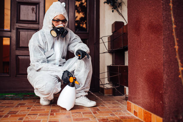 Reliable Termite Control contractor in Vardaman, MS by Nex Pest Control