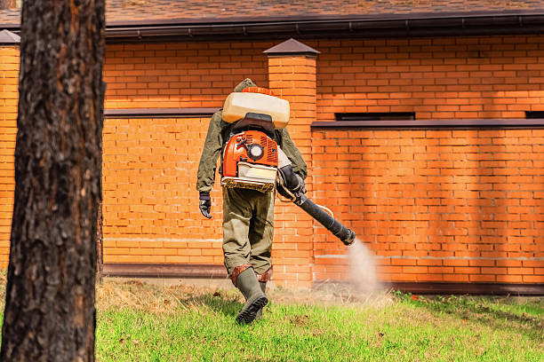 Top rated local Termite Control specialists in Vardaman, MS